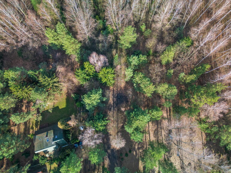 DJI 0680 1 768x576