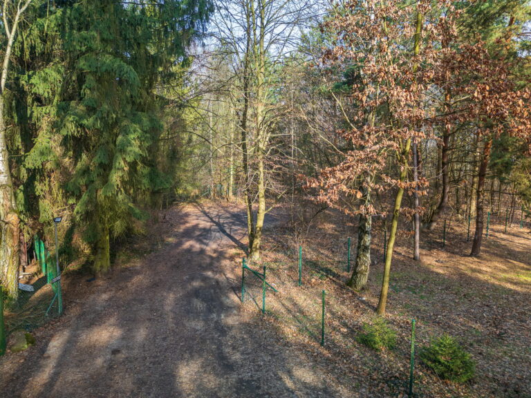 DJI 0685 1 768x576