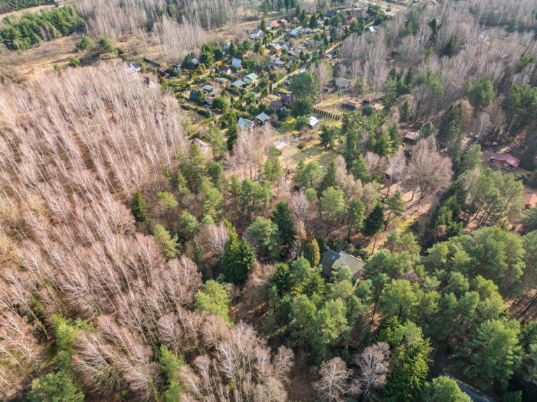 DJI 0740 1 768x576