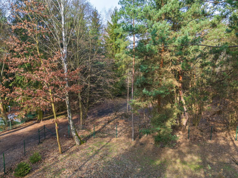 DJI 0755 1 768x576